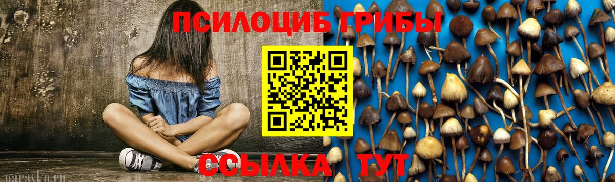 Псилоцибиновые грибы Psilocybe Аксай